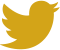twitter icon